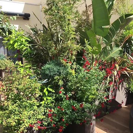 Centre Terrasse 아파트