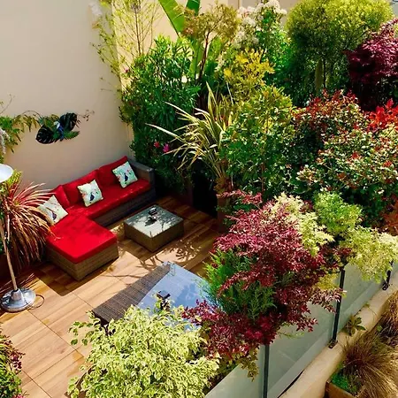 Apartament Centre Terrasse Nicea