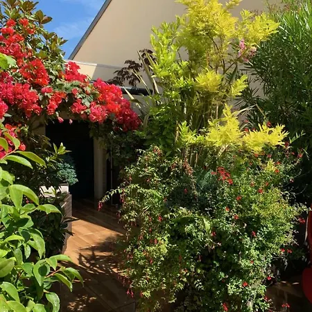 Apartament Centre Terrasse